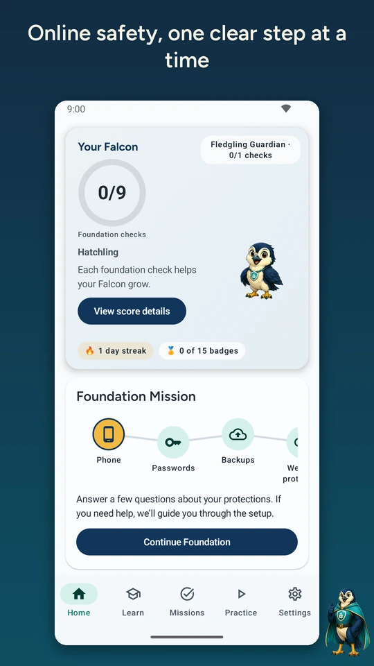 CyberNest Home with the Falcon and Foundation Mission for phone, passwords, backups and website protection.